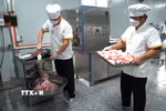 Chế biến các sản phẩm từ vật nuôi. (Ảnh: TTXVN) 