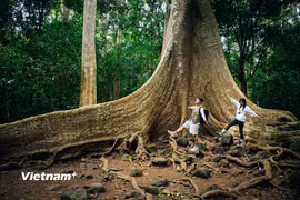 Du khách khám phá Vườn quốc gia Nam Cát Tiên. (Ảnh: Vương Công Nam/Vietnam+)