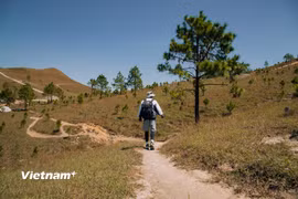 Du lịch cá nhân đang trở thành xu hướng. (Ảnh minh họa: Vương Công Nam/Vietnam+)