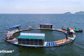 (Ảnh minh họa: PV/Vietnam+)