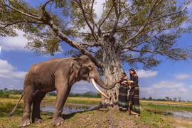 H’Hen Niê quảng bá văn hóa truyền thống và điểm đến của người Ê Đê trong MV mới. (Ảnh minh họa: CTV/Vietnam+)