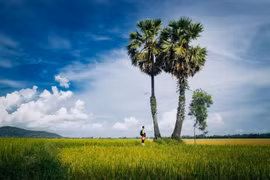 Trong giai đoạn phát triển mới, điểm đến Việt Nam không chỉ cần độc đáo, khác biệt mà còn cần sự hỗ trợ đồng bộ của công nghệ và tư duy quản lý, vận hành mới. (Ảnh minh họa: Vương Công Nam/Vietnam+)