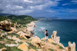 Vườn quốc gia Núi Chúa. (Ảnh: Vương Công Nam/Vietnam+)