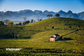 Du lịch Việt có nhiều cơ hội phát triển mới từ liên kết các vùng nguồn tài nguyên văn hóa bản địa. (Ảnh minh họa: Vương Công Nam/Vietnam+)