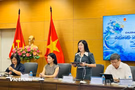Tiến sỹ Nguyễn Thị Bích Lan, Viện trưởng Viện Sáng tạo và Chuyển đổi số, Trưởng ban tổ chức Giải thưởng Rồng Xanh phát biểu tại sự kiện. (Ảnh: Mai Mai/Vietnam+)