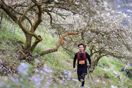Vận động viên Duy Vũ (Hà Nội), thành viên nhóm 1981runners trải nghiệm cung đường tuyệt đẹp mùa hoa Mộc Châu tại giải chạy năm 2024. (Ảnh: NVCC)