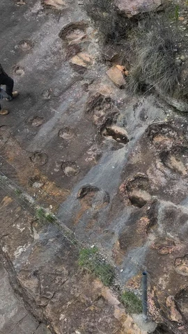 Một nhân viên kiểm lâm đứng cạnh những dấu chân khủng long hóa thạch ở Carreras Pampa, Công viên quốc gia Toro Toro, phía bắc Potosi, Bolivia, ngày 6/12/2025. (Ảnh AP)