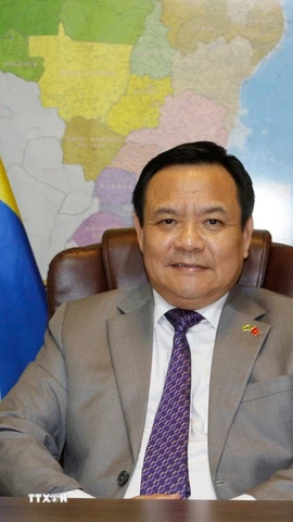 Đại sứ Việt Nam tại Brazil Bùi Văn Nghị. (Ảnh: Đại sứ quán Việt Nam tại Brazil/TTXVN phát)