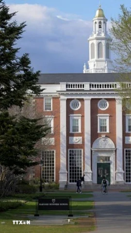 Bên trong khuôn viên Trường Đại học Harvard ở Cambridge, Massachusetts, Mỹ ngày 15/4/2025. (Ảnh: Reuters/TTXVN)
