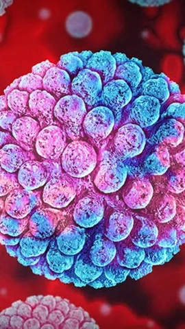 Nghiên cứu cho thấy các kháng thể phản ứng sai hướng sau khi nhiễm EBV có thể đóng một vai trò nhất định. (Nguồn: iStock)