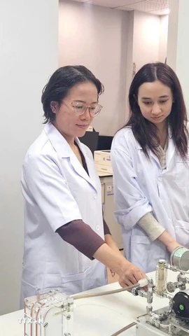 Giáo sư-Tiến sỹ Trần Thị Việt Nga, Viện trưởng Viện Công nghệ cao Việt Nhật, Giảng viên cao cấp Khoa Kỹ thuật Môi trường, Trường Đại học Xây dựng Hà Nội (đứng giữa) đang hướng dẫn các nghiên cứu sinh. (Ảnh: TTXVN phát)