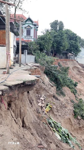 Ảnh minh họa. (Ảnh: Tạ Toàn/TTXVN)