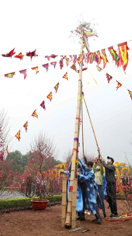 Dựng cây nêu ngày Tết tại Hoành thành Thăng Long. (Ảnh: Thanh Tùng/TTXVN)