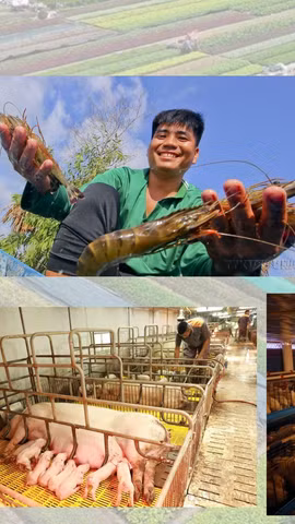 Dấu ấn 96 năm Hội Nông dân Việt Nam trên hành trình phát triển đất nước