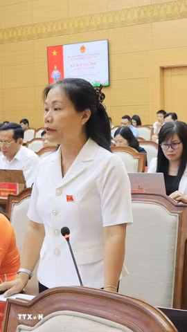 Đại biểu thảo luận tại kỳ họp. (Ảnh: Đinh Thùy/TTXVN)