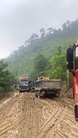 Các phương tiên tham gia giao thông trên tuyến quốc lộ 14D rất khó khăn do tuyến đường bị xuống cấp nghiêm trọng. (Ảnh: Trần Tĩnh/TTXVN)