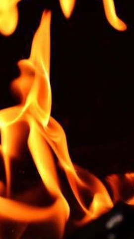 Ảnh minh họa. (Nguồn: thehindu)