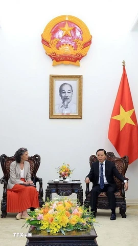 Phó Thủ tướng Trần Hồng Hà tiếp Trưởng đại diện WTO và Trưởng đại diện UNDP tại Việt Nam. (Ảnh: Tuấn Anh/TTXVN)