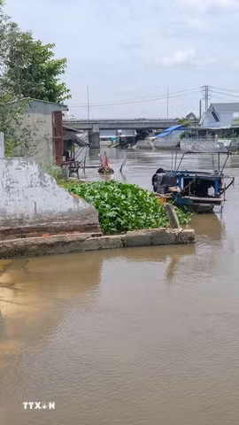 Điểm sạt lở trên kênh Nàng Mau, xã Thạnh Hòa, thành phố Cần Thơ làm một căn nhà bị sụp hoàn toàn xuống sông. (Ảnh: Thanh Liêm/TTXVN)