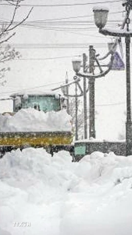 Tuyết rơi dày đặc tại Hokkaido, Nhật Bản. (Ảnh: Kyodo/TTXVN)