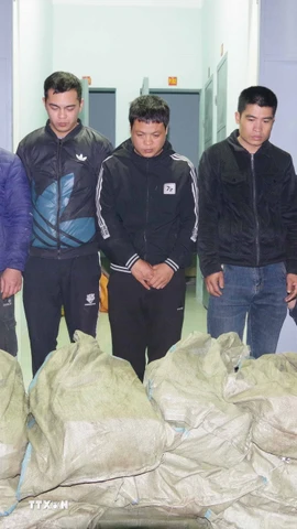 Các đối tượng vận chuyển trái phép xúc xích nhập lậu qua biên giới bị bắt giữ, tại Cơ quan biên phòng tỉnh Lạng Sơn. (Ảnh: TTXVN phát)