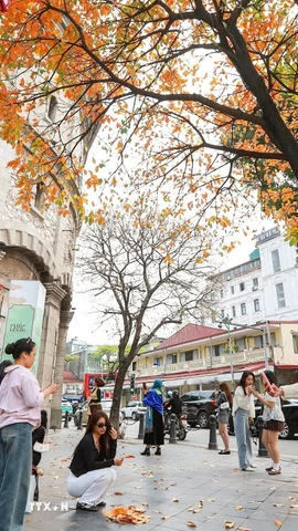 Nắng ấm quay trở lại miền Bắc. (Ảnh: Khánh Hòa/TTXVN)