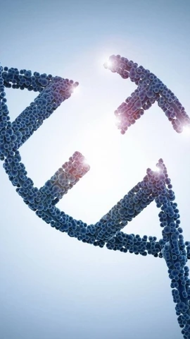 Ảnh minh họa. (Nguồn: Getty)