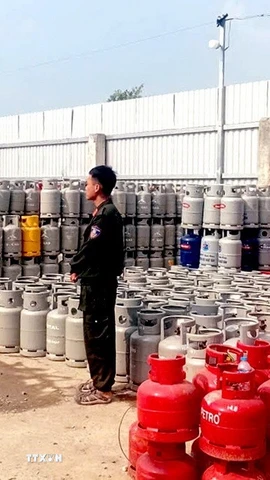 Hàng trăm bình gas các loại bị Công an tỉnh Tây Ninh phát hiện, thu giữ tại hiện trường trong chuyên án triệt phá đường dây sản xuất, buôn bán gas giả. (Ảnh: TTXVN phát)