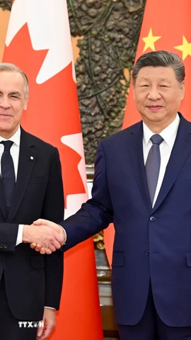 Thủ tướng Canada Mark Carney (trái) và Chủ tịch Trung Quốc Tập Cận Bình tại cuộc hội đàm ở Bắc Kinh ngày 16/1/2026. (Ảnh: THX/TTXVN)