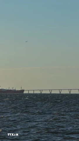 Một tàu chở dầu neo ngoài khơi bang Zulia, Venezuela. (Nguồn: THX/TTXVN)