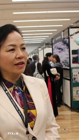 Chủ tịch VFDA, Tiến sỹ Ngô Phương Lan trả lời phỏng vấn TTXVN. (Ảnh: Phạm Tuân/TTXVN)