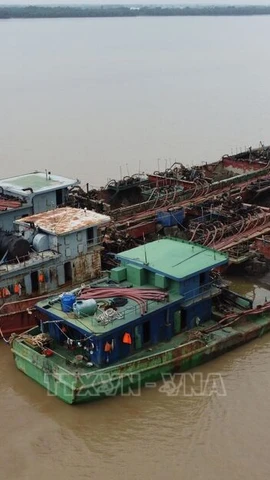 Đồng Tháp "nóng" về hoạt động vận chuyển cát lậu từ bờ biển vào nội địa