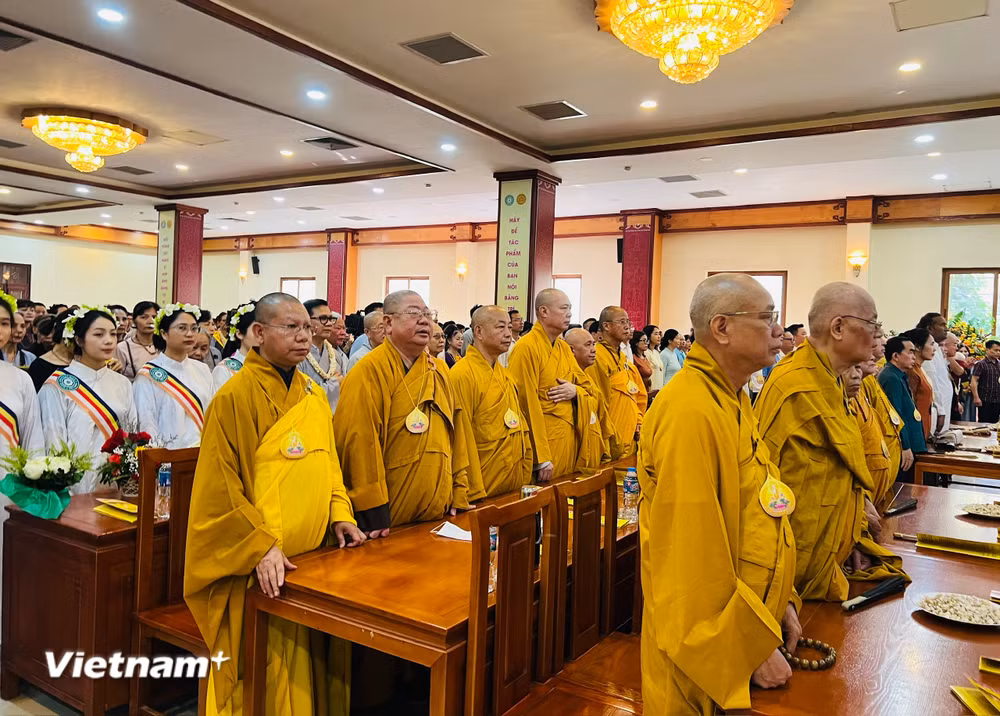 vnp-dai-le-pha-dan-2026-1.jpg