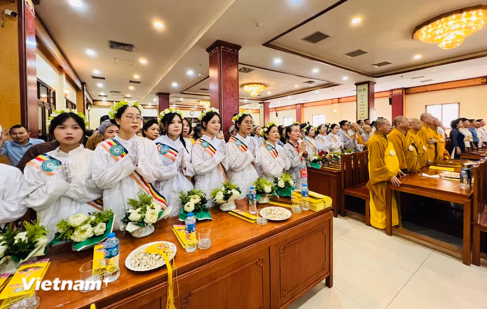 vnp-dai-le-pha-dan-2026-2.jpg
