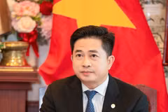Ông Đinh Hoàng Linh - Tổng Lãnh sự Việt Nam tại Thái Lan. (Ảnh: PV/Vietnam+)