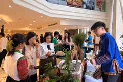 Khách tham quan tại Hội nghị quan tâm gian hàng giới thiệu du lịch y tế thông qua hình thức “chữa lành” từ các điểm du lịch tái tạo không gian Tây Bắc tại Thành phố Hồ Chí Minh. (Ảnh: PV/Vietnam+)