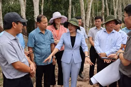 Bí thư Tỉnh ủy Bình Phước Tôn Ngọc Hạnh (giữa) cùng lãnh đạo các sở, ngành, thị xã Chơn Thành thị sát tại các điểm trên cao tốc Thành phố Hồ Chí Minh-Thủ Dầu Một-Chơn Thành đoạn quan địa bàn tỉnh Bình Phước. (Ảnh: Nhật Bình/TTXVN)