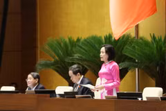 Phó Chủ tịch Quốc hội Nguyễn Thị Thanh điều hành phiên họp sáng 7/5. (Ảnh: TTXVN)