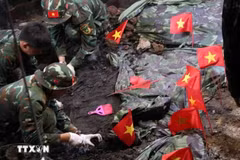 Những lá cờ nhỏ đánh dấu điểm nghi có hài cốt liệt sỹ tại Công viên Văn hóa Lê Thị Riêng. (Ảnh: Xuân Khu/TTXVN)