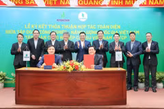 Tổng Giám đốc Petrovietnam Lê Ngọc Sơn và Tổng Giám đốc VRG Lê Thanh Hưng ký kết thỏa thuận hợp tác toàn diện giữa hai Tập đoàn. (Ảnh: PV/Vietnam+)
