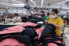 Công ty may TNG Thái Nguyên mỗi năm đạt doanh thu hàng ngàn tỷ đồng, tạo việc làm cho hơn 20.000 lao động. (Ảnh minh họa: Trần Việt/TTXVN)