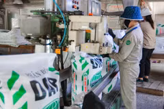 6 tháng đầu năm 2025, công ty cổ phần DAP số 2 - VINACHEM ghi nhận kết quả sản xuất, kinh doanh tích cực. (Ảnh: TTXVN)