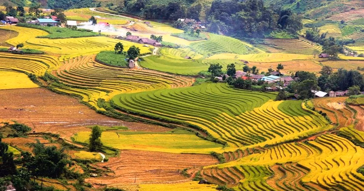 sang-ma-sao.jpg