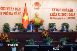 Quang cảnh Kỳ họp. (Ảnh: Quốc Dũng/TTXVN)