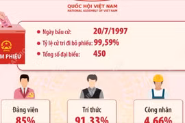 Kết quả bầu cử đại biểu Quốc hội khóa X