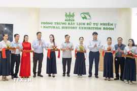 Các đại biểu thực hiện nghi thức cắt băng khai trương. (Ảnh: Nguyên Lý/TTXVN)