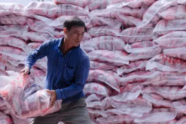 Gạo là một trong những sản phẩm xuất khẩu chủ lực của tỉnh An Giang. (Ảnh: Văn Sĩ/TTXVN)