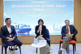 Các chuyên gia chia sẻ cơ hội đầu tư kinh doanh vào Hoa Kỳ tại toạ đàm. (Ảnh: Xuân Anh/TTXVN)