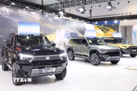 Ôtô năng lượng mới của hãng Dongfeng (Trung Quốc). (Ảnh: Công Tuyên/TTXVN)
