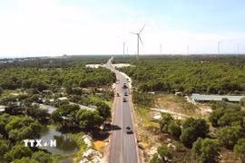 Thanh tra Chính phủ yêu cầu Ủy ban Nhân dân tỉnh và Chủ tịch Ủy ban Nhân dân tỉnh Quảng Trị tổ chức kiểm điểm, làm rõ trách nhiệm để xử lý theo quy định đối với các tập thể, cá nhân, đơn vị có liên quan đến vi phạm tại Dự án Đường ven biển Quảng Trị. (Ảnh: Nguyên Linh/TTXVN)